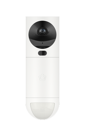 Videodetector de movimiento